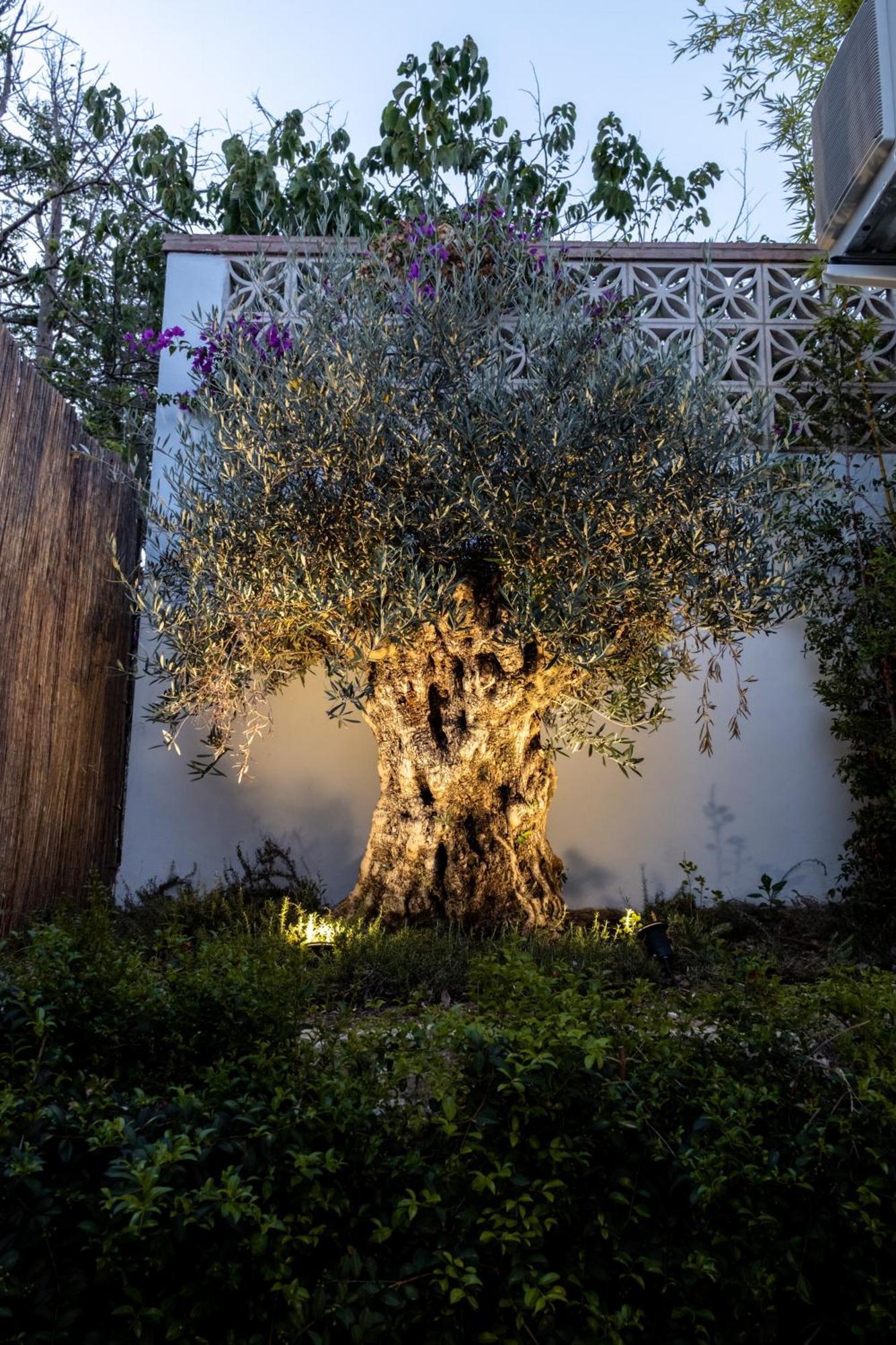 Casa Bodhi Boutique Hotel & Spa Марбеля Екстериор снимка